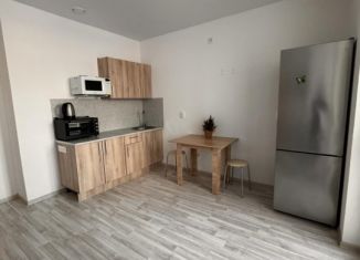 Сдается 1-ком. квартира, 30 м2, Челябинск, улица Пушкина, 27А