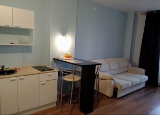 Сдаю в аренду квартиру студию, 28 м2, Пермский край, улица Куфонина, 10Б