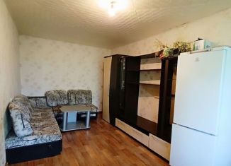 Продаю 2-комнатную квартиру, 45 м2, Бийск, улица Льнокомбинат, 84