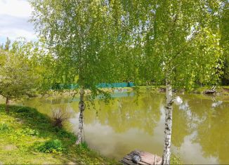 Продается дом, 116.8 м2, село Маклино, Парковая улица, 81А