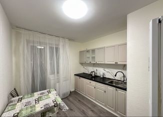 Сдам 1-ком. квартиру, 29 м2, Санкт-Петербург, Русановская улица, 18к8