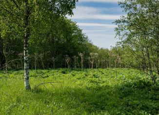 Продажа земельного участка, 6 сот., Ленинградская область