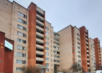 Продажа 2-комнатной квартиры, 52.3 м2, Ленинградская область, проспект Героев, 29