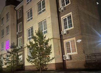 1-комнатная квартира в аренду, 32 м2, поселок Темерницкий, Центральная улица, 3к3