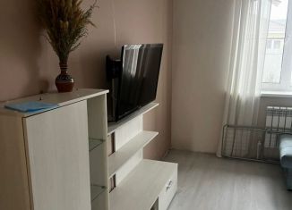 Сдается дом, 110 м2, Татарстан, Медовая улица, 8