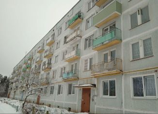 Продается 1-ком. квартира, 30.9 м2, рабочий посёлок Петровское, Лесная улица, 1