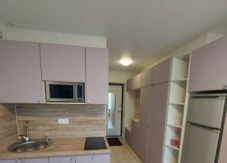 Сдам в аренду квартиру студию, 15 м2, Москва, Окская улица, 28к3, ЮВАО