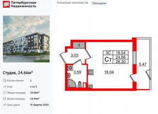 Продажа квартиры студии, 24.7 м2, Санкт-Петербург, метро Звёздная