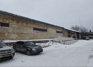 Сдаю склад, 500 м2, деревня Мокроусово, Мокроусовская улица, 2/19