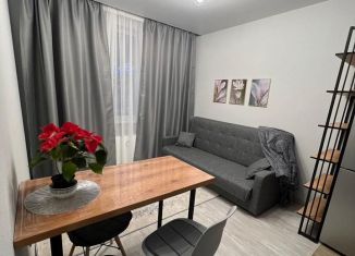 Сдается 1-ком. квартира, 35 м2, Мурино, Екатерининская улица, 19