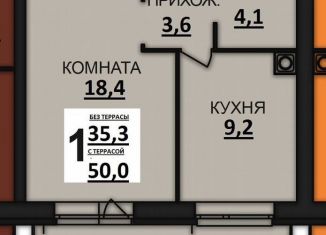 1-ком. квартира на продажу, 50 м2, деревня Дерябиха, деревня Дерябиха, 81