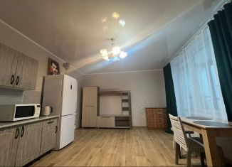 Сдам в аренду квартиру студию, 33 м2, Тюмень, улица Константина Посьета, 10, Восточный округ