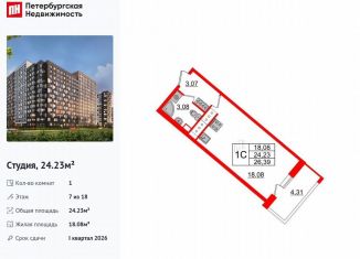 Продается квартира студия, 24.2 м2, Санкт-Петербург, Невский район