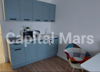 Сдается в аренду 1-ком. квартира, 20 м2, Москва, Салтыковская улица, 6/1к7