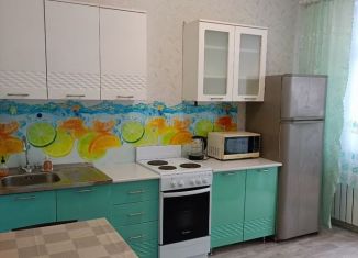 Сдача в аренду 1-комнатной квартиры, 40 м2, Иркутск, ЖК Иркутский дворик-2, улица Маршала Конева, 38/2